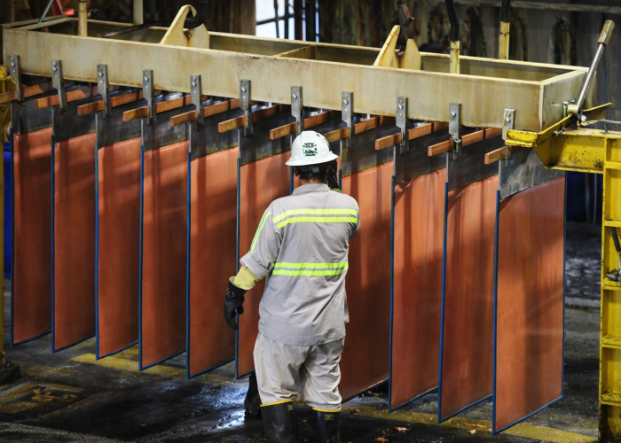 worker inspecting copper cathode sheets